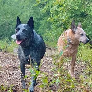 Meet your Posher, Christian